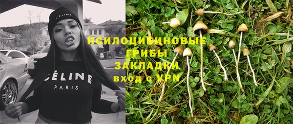 амф Горнозаводск