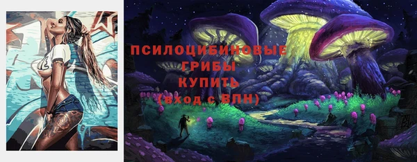 амф Горнозаводск