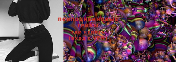 дурь Горно-Алтайск