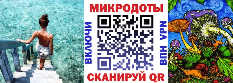 shop Telegram  Королёв  Псилоцибиновые грибы MAGIC MUSHROOMS  купить  